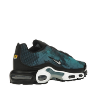 Nike Air Max Plus Dot Pattern Black Dusty Cactus — kolab