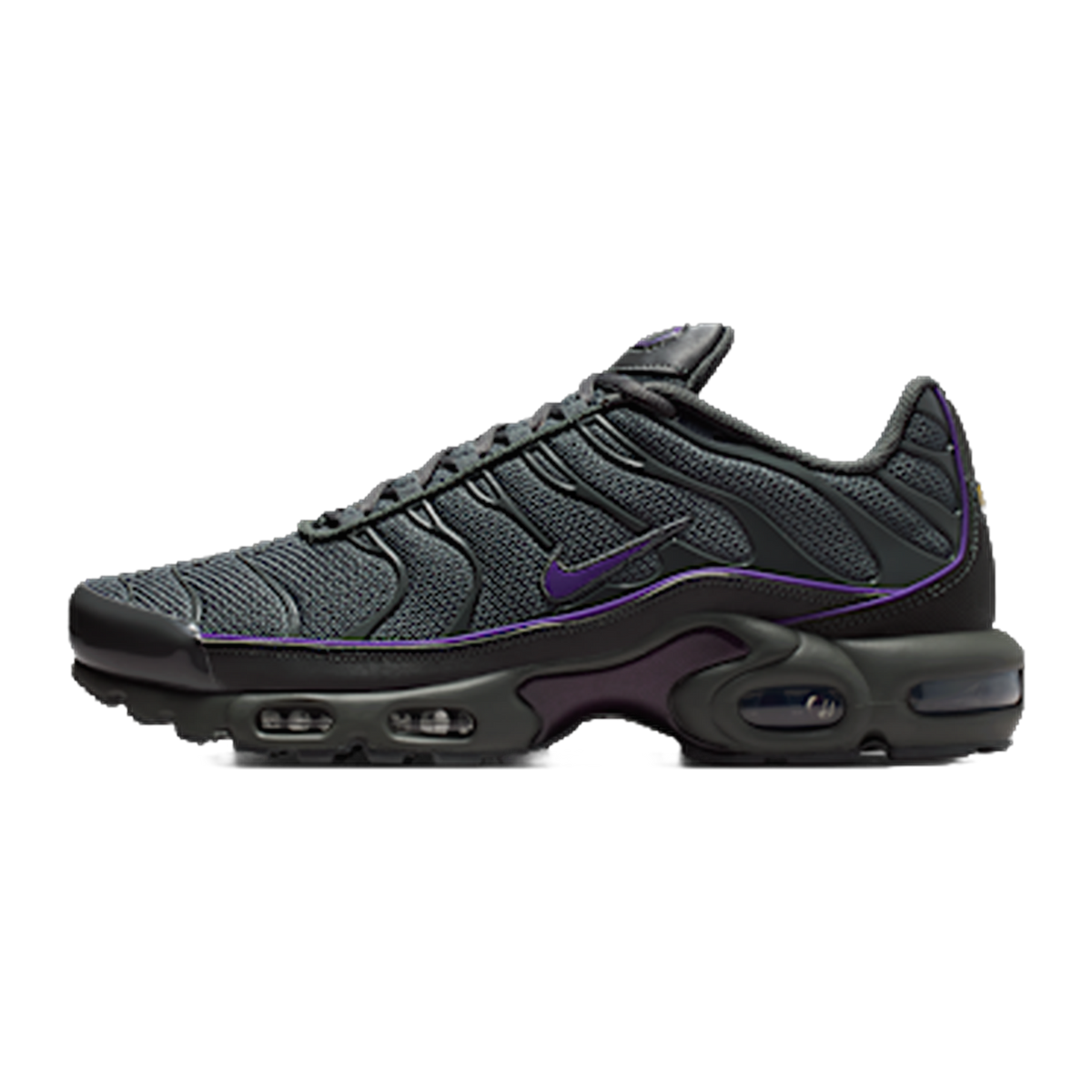 Nike Air Max Plus Iron Grey Wild Grape — kolab
