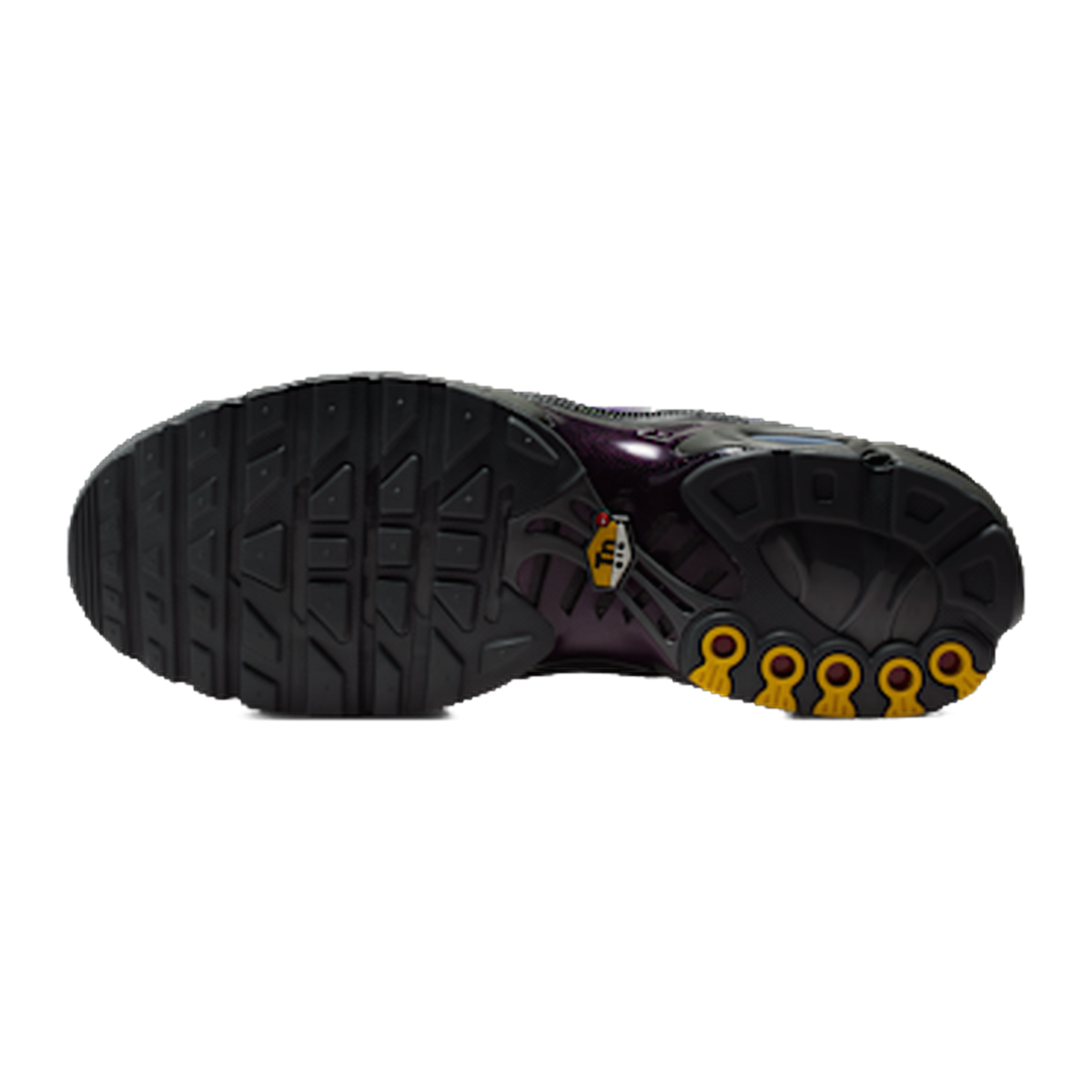Nike Air Max Plus Iron Grey Wild Grape — kolab