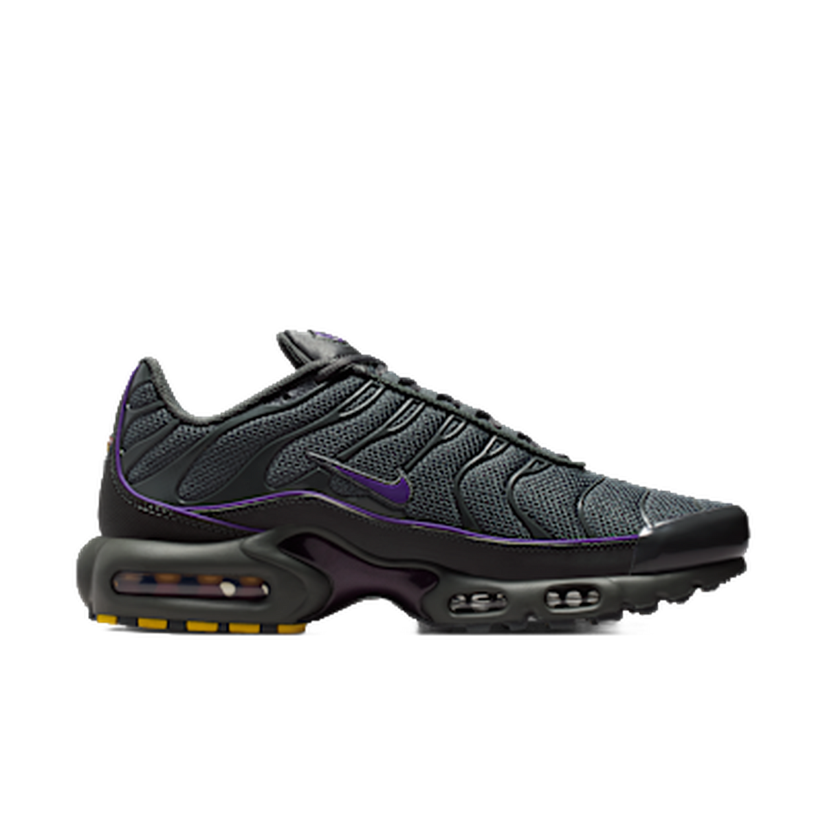 Nike Air Max Plus Iron Grey Wild Grape — kolab