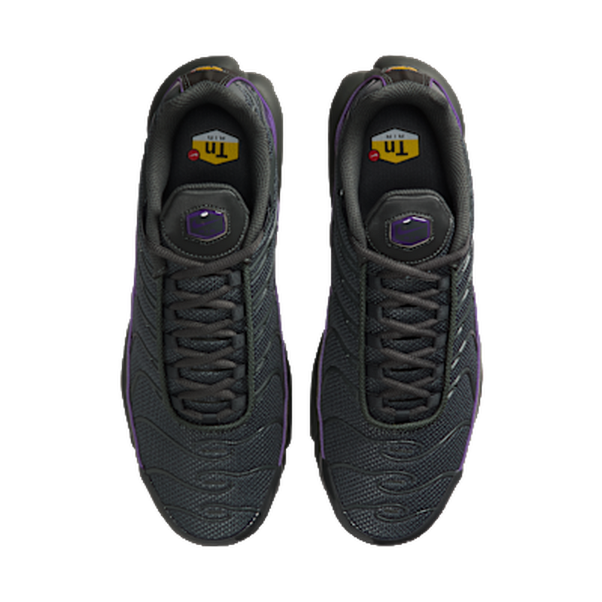 Nike Air Max Plus Iron Grey Wild Grape — kolab
