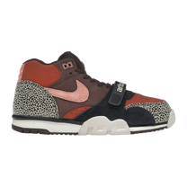 Nike SB Air Trainer 1 Arts-Rec Limestone — kolab