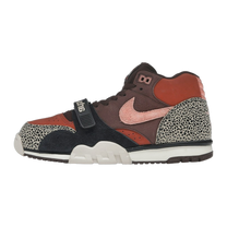 Nike SB Air Trainer 1 Arts-Rec Limestone — kolab