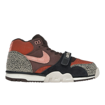 Nike SB Air Trainer 1 Arts-Rec Limestone — kolab