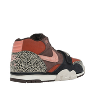 Nike SB Air Trainer 1 Arts-Rec Limestone — kolab