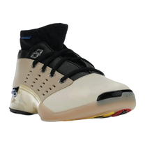 Jordan 17 Retro Low SP Infinite Archives — kolab