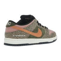 Nike SB Dunk Low Arts-Rec — kolab