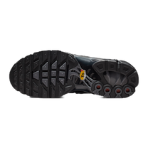 Nike Air Max Plus Black Metallic Silver — kolab
