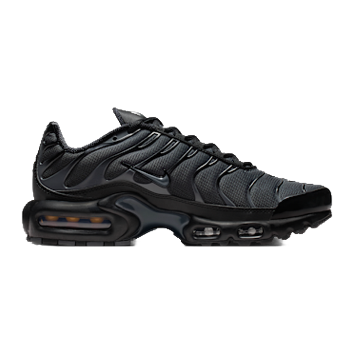 Nike Air Max Plus Black Metallic Silver — kolab