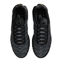 Nike Air Max Plus Black Metallic Silver — kolab