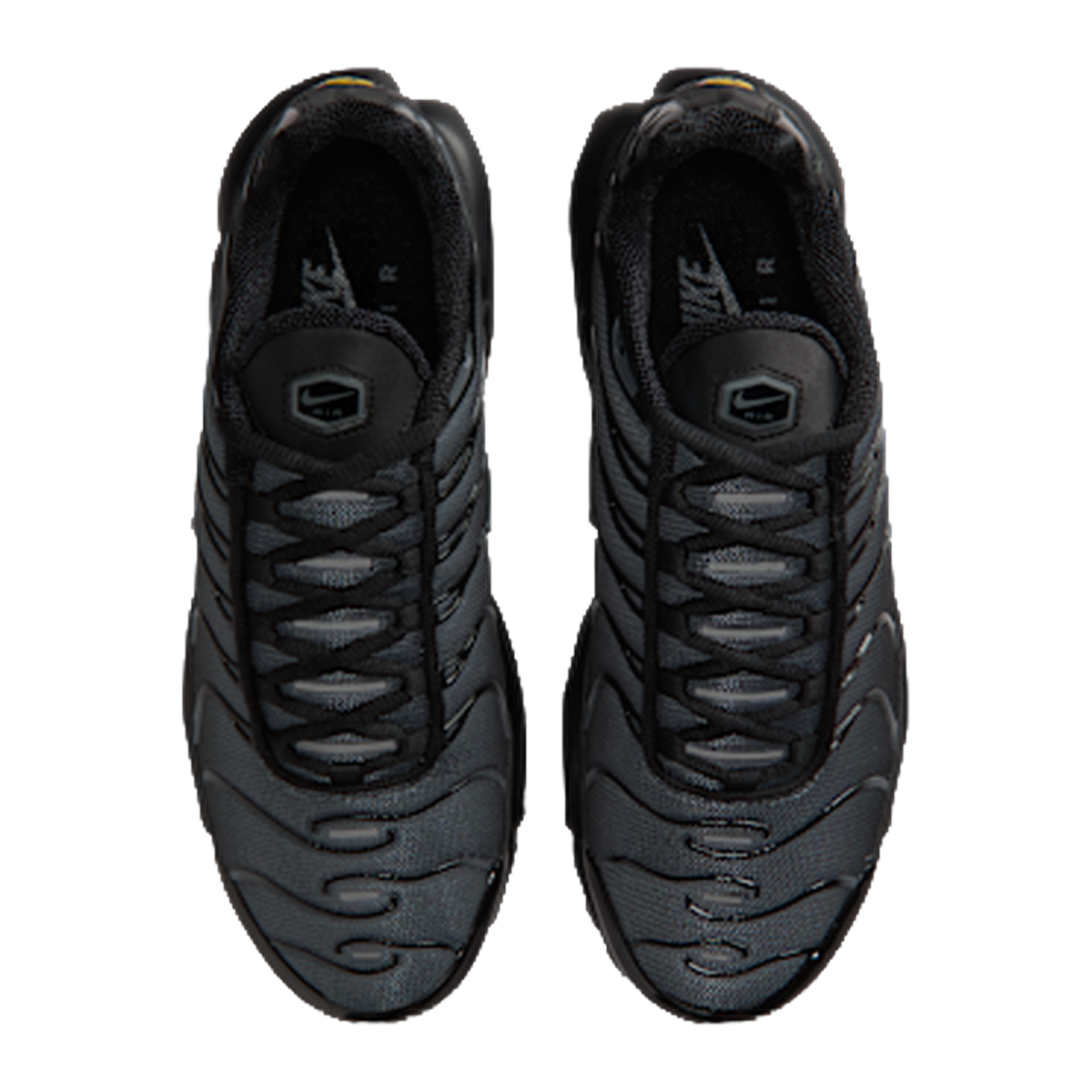 Nike Air Max Plus Black Metallic Silver — kolab