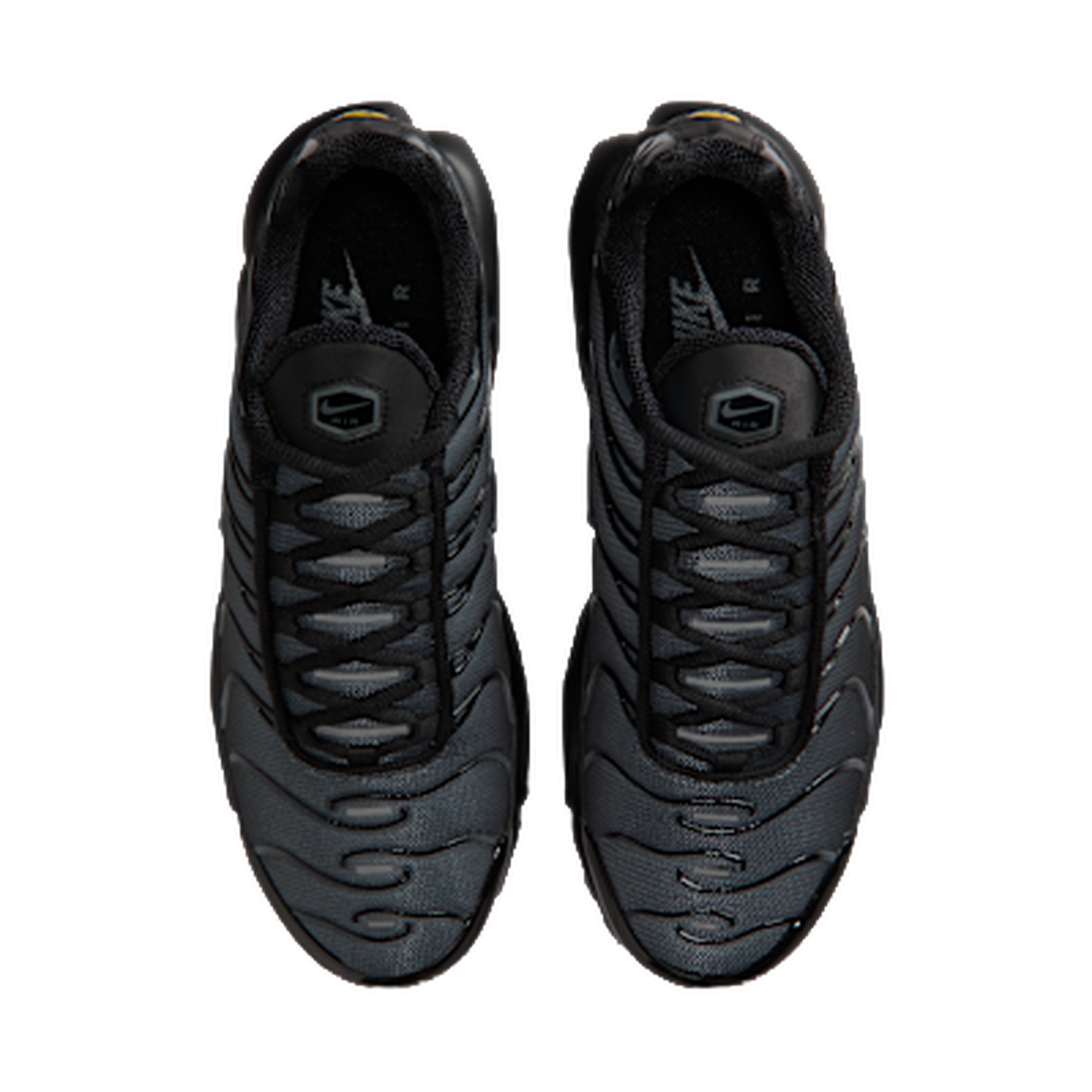 Nike Air Max Plus Black Metallic Silver — kolab
