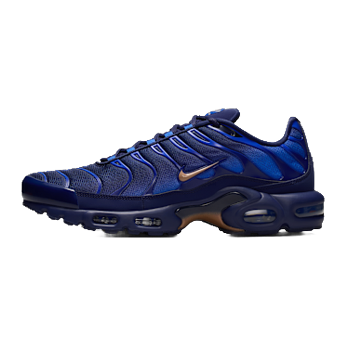 Nike Air Max Plus French Football Federation — kolab
