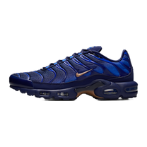 Nike Air Max Plus French Football Federation · kolab