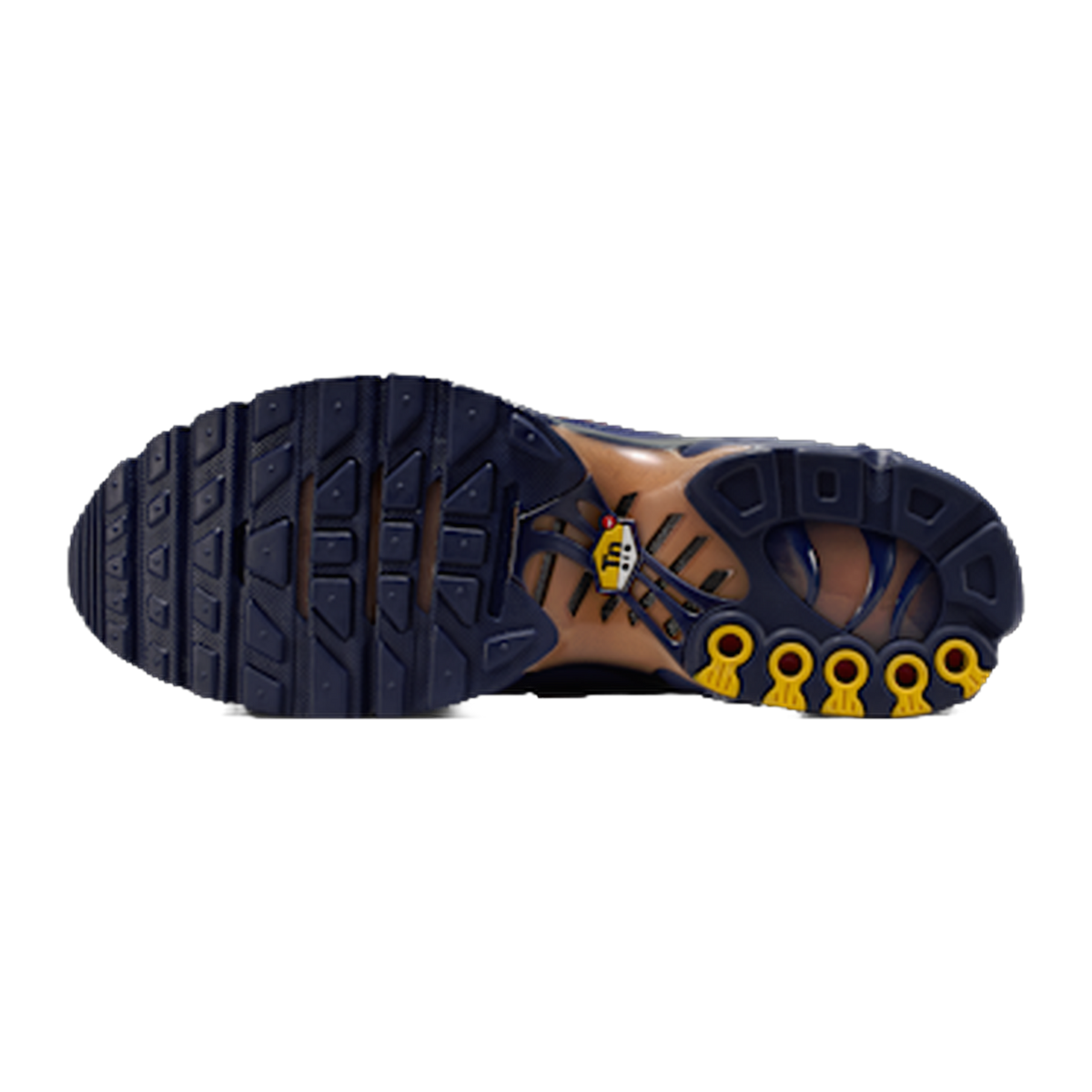 Nike Air Max Plus French Football Federation — kolab