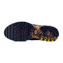 Nike Air Max Plus French Football Federation · kolab