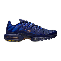 Nike Air Max Plus French Football Federation · kolab