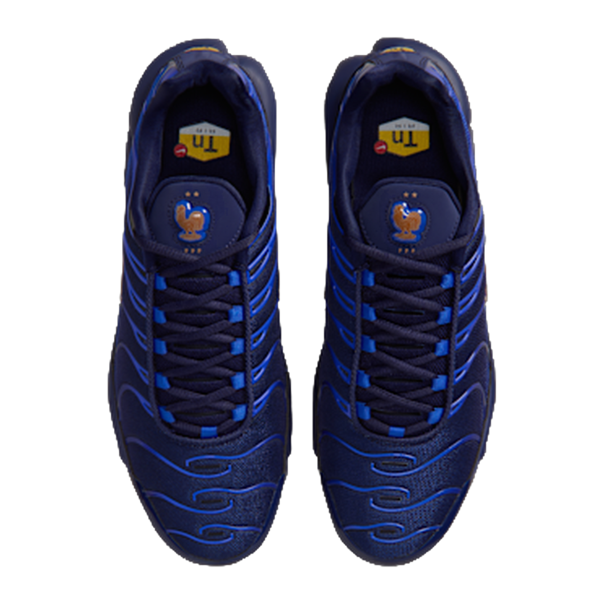 Nike Air Max Plus French Football Federation · kolab