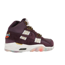 Nike Air Trainer SC High Atlanta Olympics 30th Anniversary · kolab