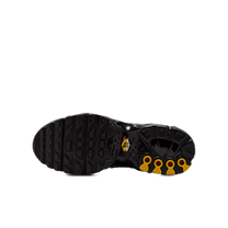 Nike Air Max Plus Oil Slick (GS) — kolab