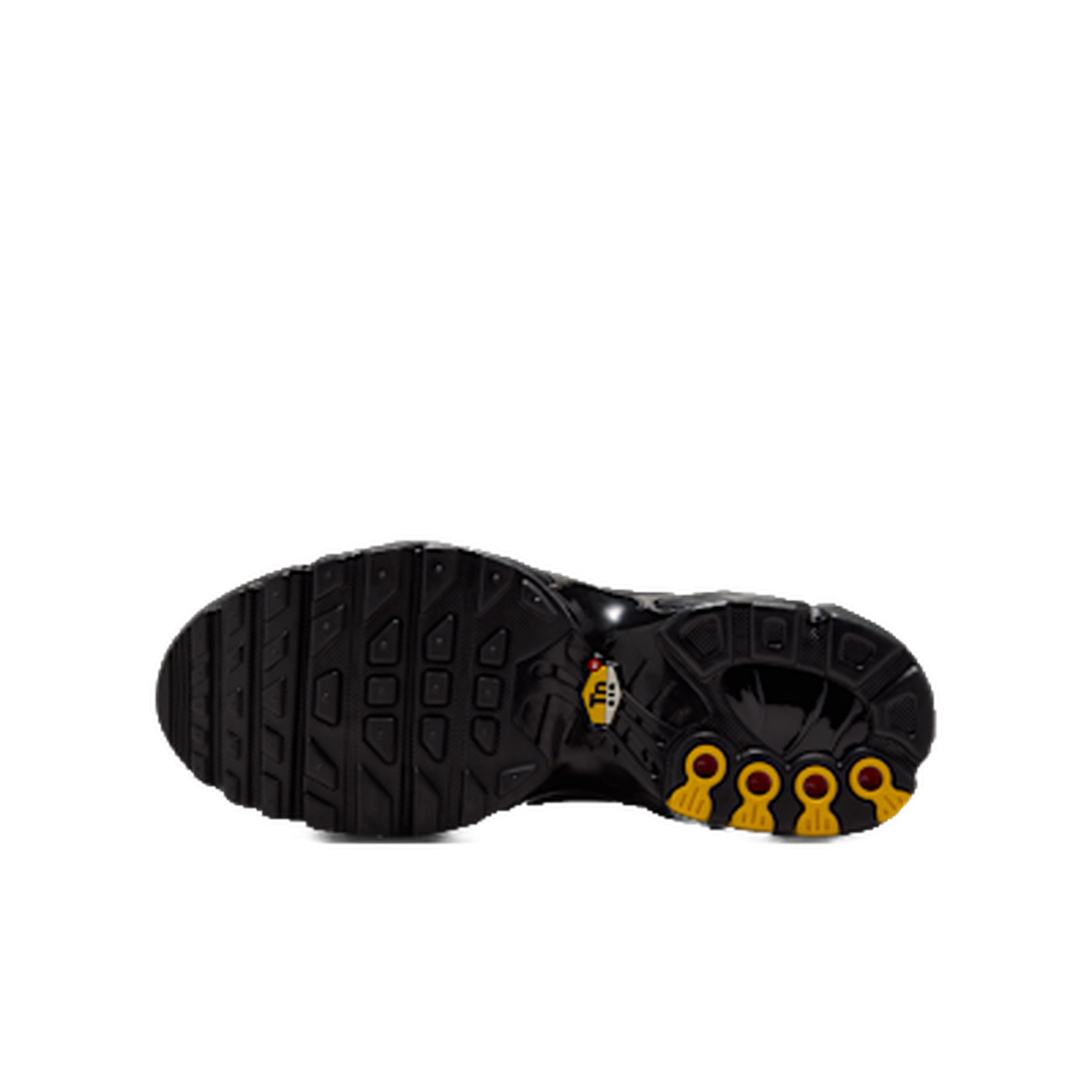 Nike Air Max Plus Oil Slick (GS) — kolab