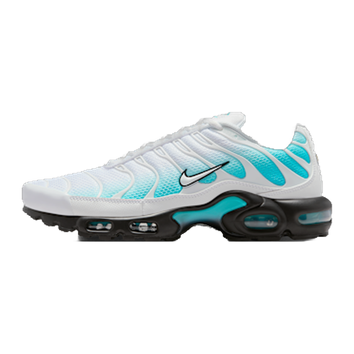 Nike Air Max Plus Dusty Cactus — kolab