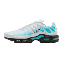 Nike Air Max Plus Dusty Cactus — kolab