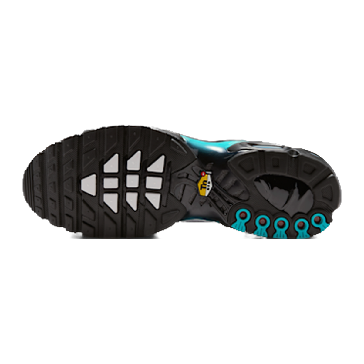Nike Air Max Plus Dusty Cactus — kolab
