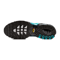 Nike Air Max Plus Dusty Cactus — kolab