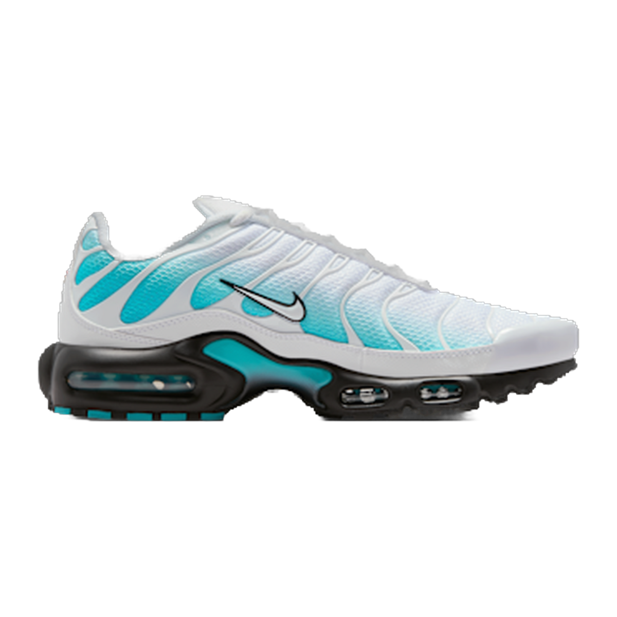 Nike Air Max Plus Dusty Cactus — kolab