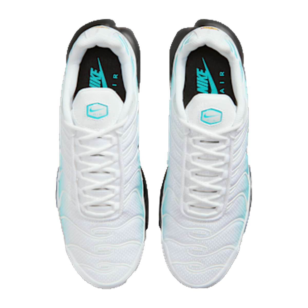 Nike Air Max Plus Dusty Cactus — kolab