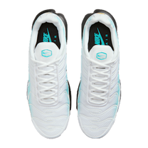 Nike Air Max Plus Dusty Cactus — kolab