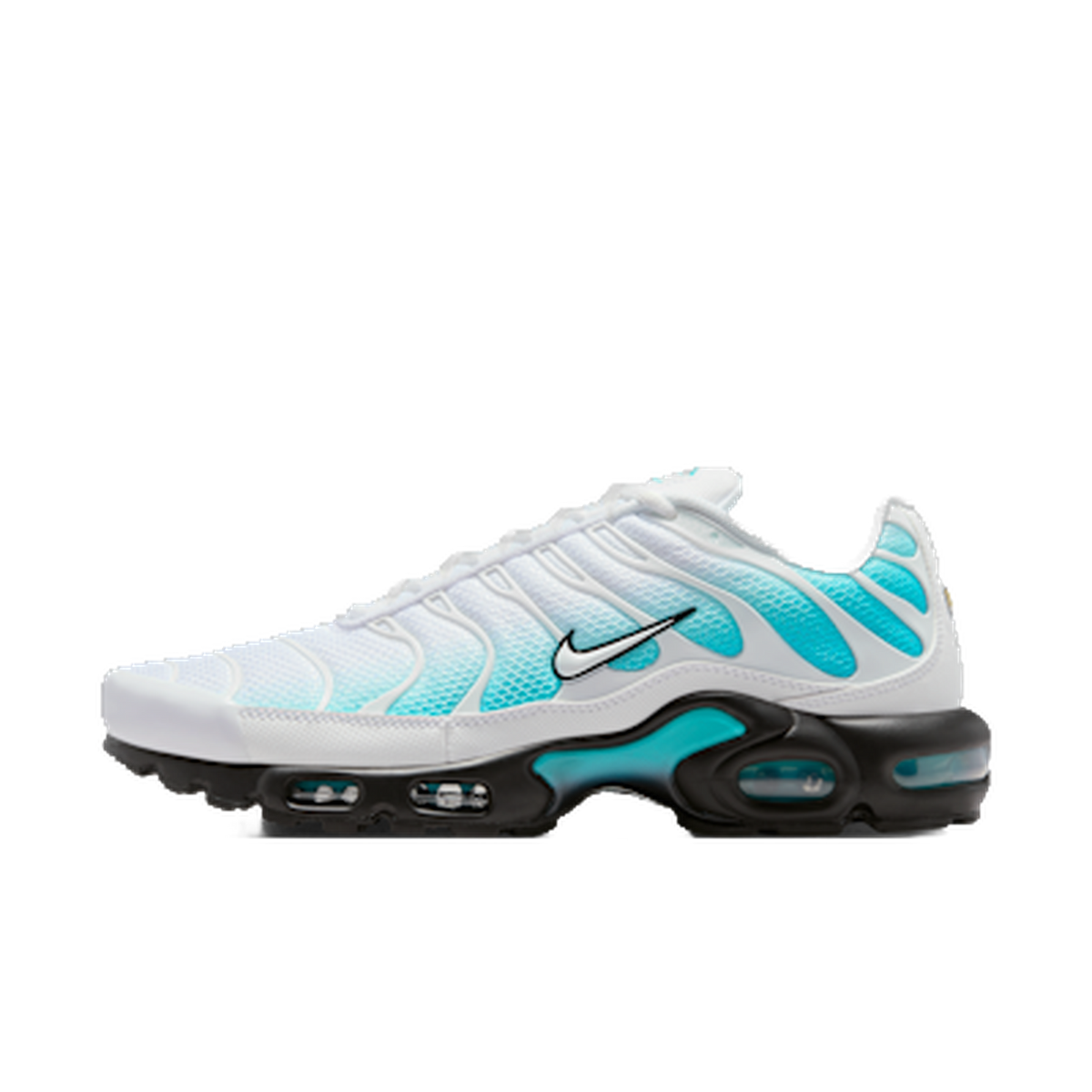 Nike Air Max Plus Dusty Cactus — kolab