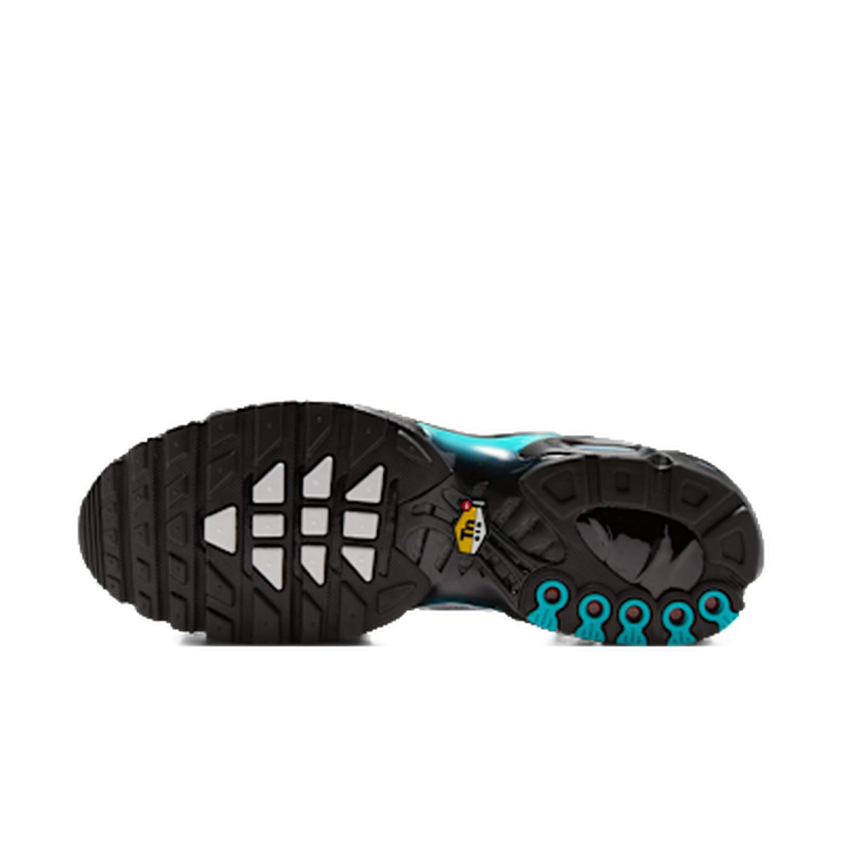 Nike Air Max Plus Dusty Cactus — kolab