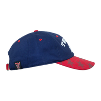 Mismatched Navy Dad Cap