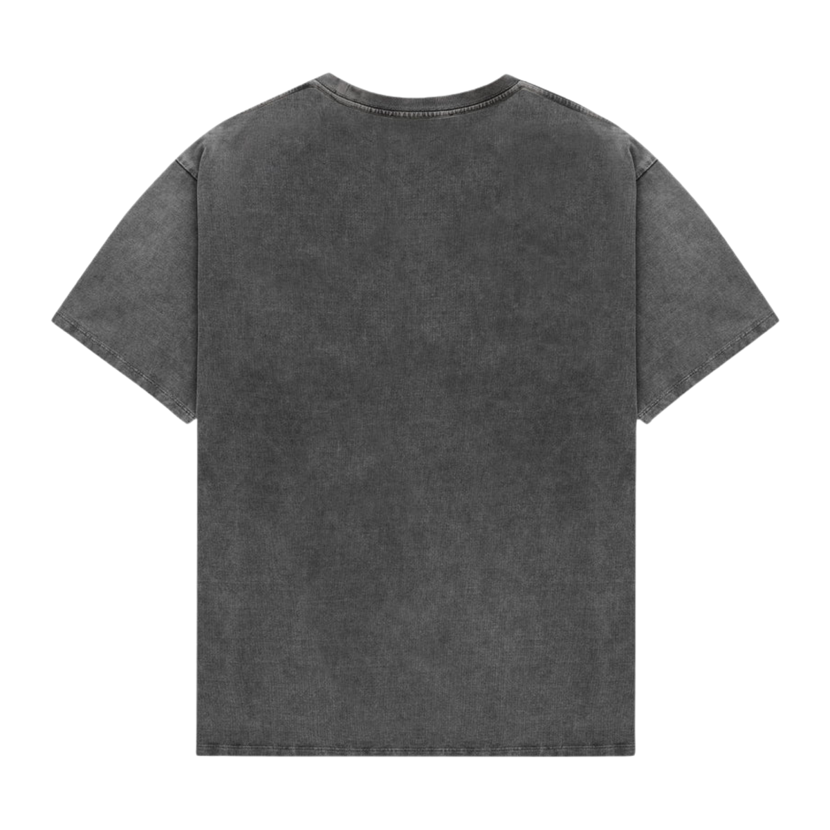 Pin Up II Washed Grey T-Shirt